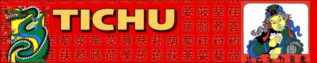 tichu online